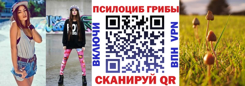 Галлюциногенные грибы мицелий  Вышний Волочёк 